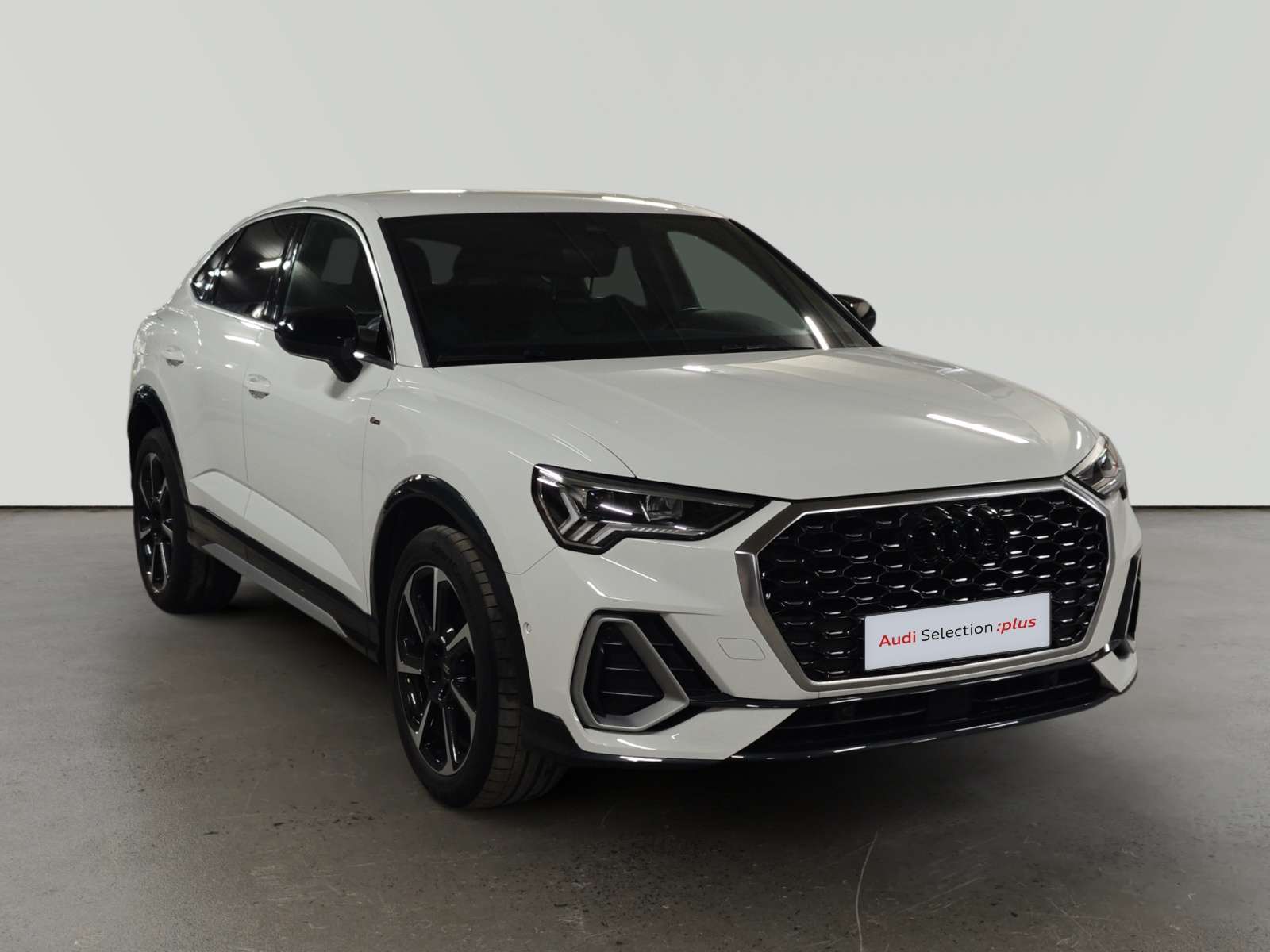 oem_vo_bonavalpremium_2380_202603141415301.jpg
