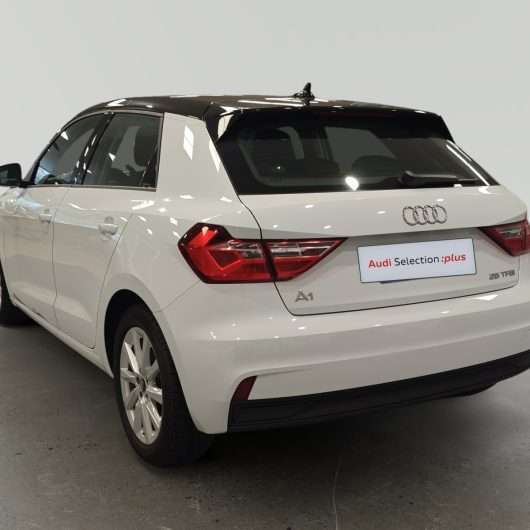 oem_vo_bonavalpremium_2441_202606011415412.jpg