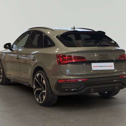 oem_vo_bonavalpremium_2361_202601231415422.jpg