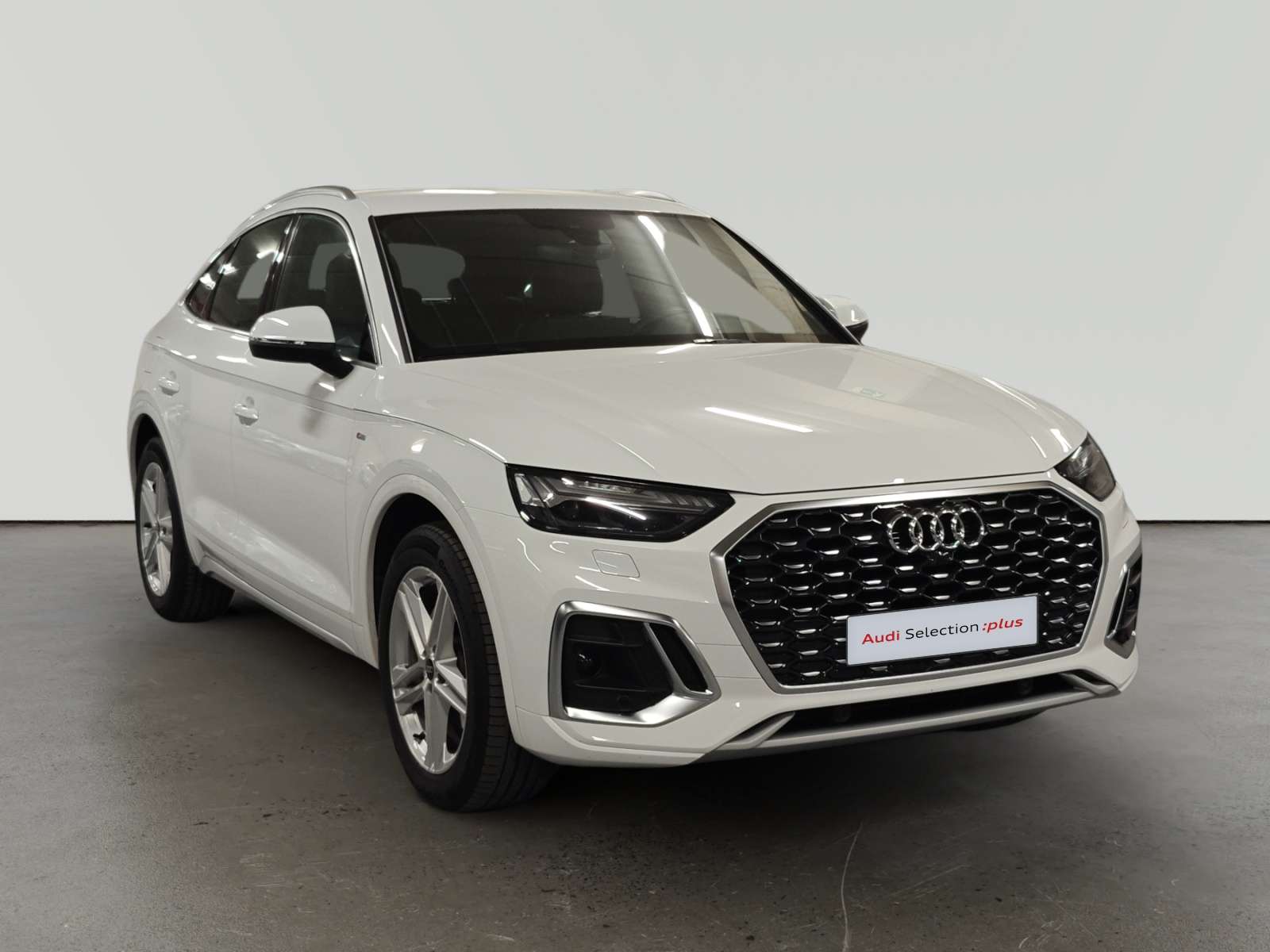 oem_vo_bonavalpremium_2485_202607152100331.jpg
