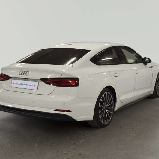 oem_vo_bonavalpremium_2493_2026072321002118.jpg