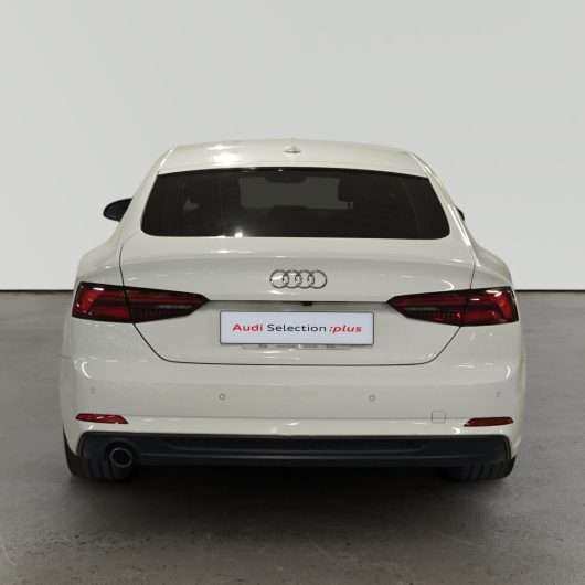 oem_vo_bonavalpremium_2493_2026072321002123.jpg