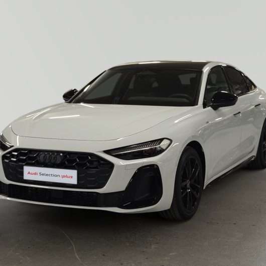 oem_vsn_bonavalpremium_3160_2026070221003621.jpg
