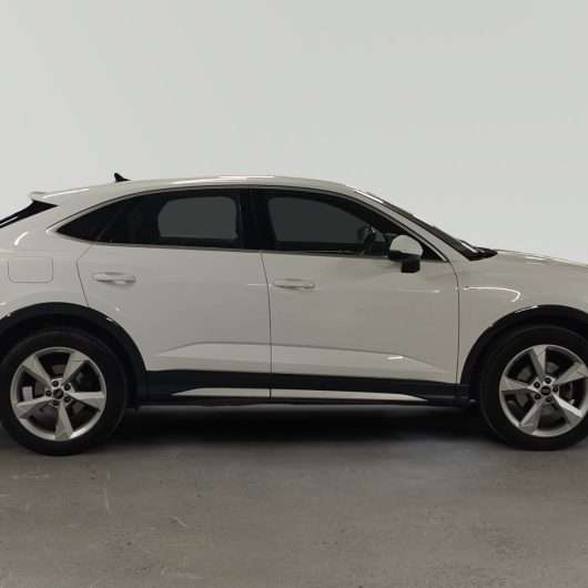 oem_vo_bonavalpremium_2392_202603271415353.jpg