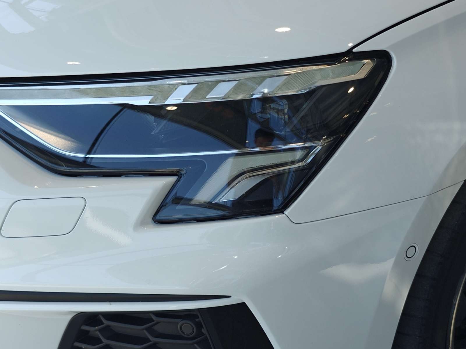 oem_vo_bonavalpremium_2490_2026081221001222.jpg