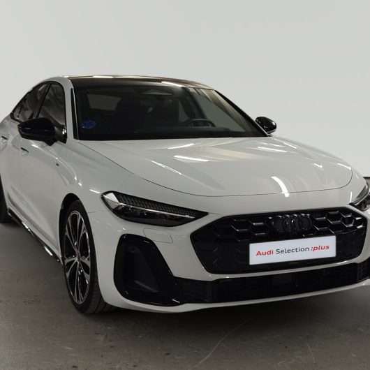 oem_vo_bonavalpremium_2501_202608241415241.jpg