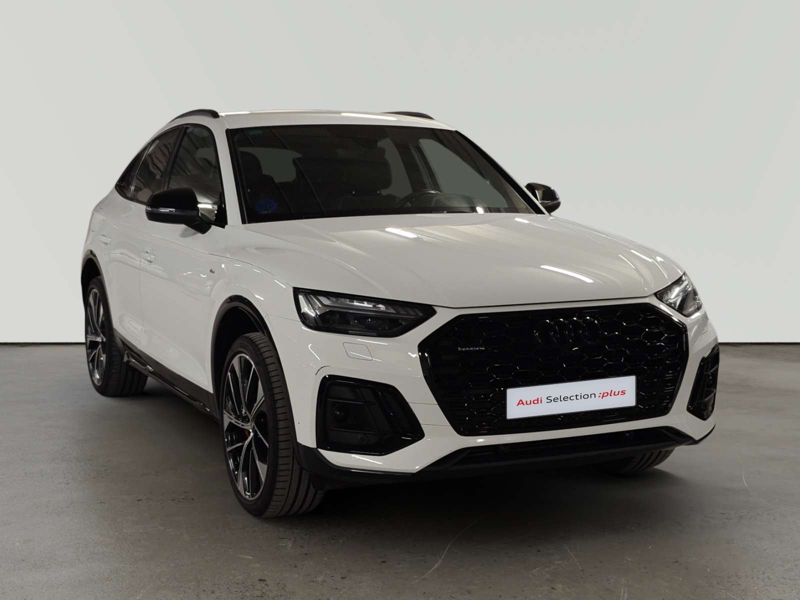 oem_vo_bonavalpremium_2507_202608081415301.jpg